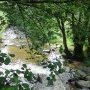 Les Bords de l'Yzeron.